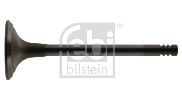 Exhaust Valve